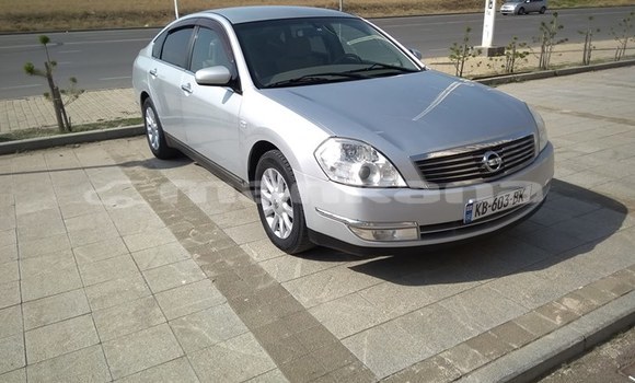 Buy Used Nissan Teana Silver Car in Tbilisi in Tbilisi