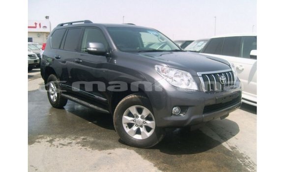 Buy Import Toyota Prado Other Car in Import - Dubai in Abhasia Buy Import Toyota Prado Other Car in Import - Dubai in Abhasia