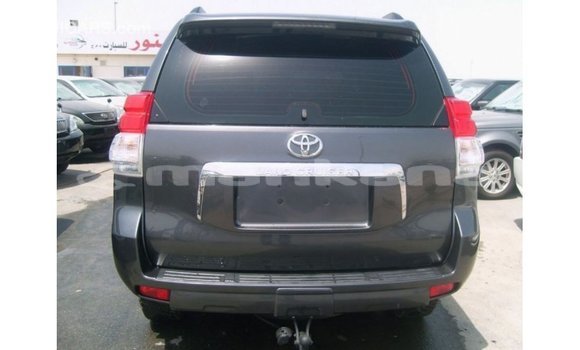 Buy Import Toyota Prado Other Car in Import - Dubai in Abhasia Buy Import Toyota Prado Other Car in Import - Dubai in Abhasia