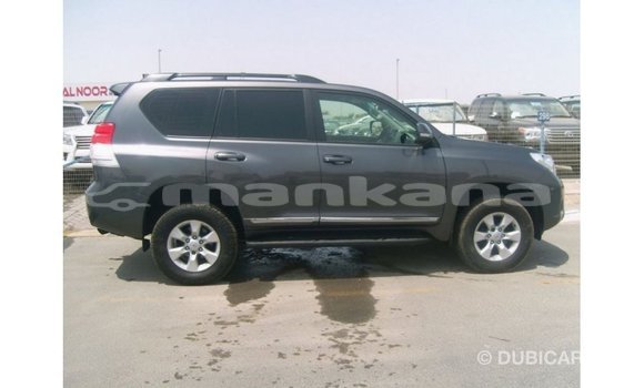 Buy Import Toyota Prado Other Car in Import - Dubai in Abhasia Buy Import Toyota Prado Other Car in Import - Dubai in Abhasia