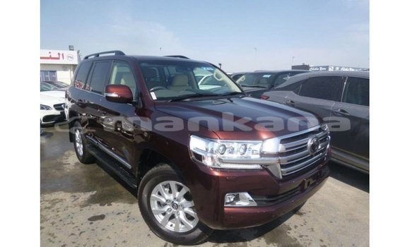 Buy Import Toyota Land Cruiser Brown Car in Import - Dubai in Abhasia Buy Import Toyota Land Cruiser Brown Car in Import - Dubai in Abhasia