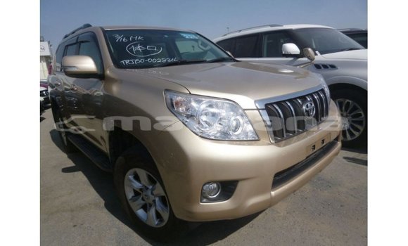 Buy Import Toyota Prado Other Car in Import - Dubai in Abhasia Buy Import Toyota Prado Other Car in Import - Dubai in Abhasia