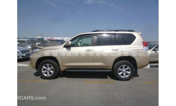 Buy Import Toyota Prado Other Car in Import - Dubai in Abhasia Buy Import Toyota Prado Other Car in Import - Dubai in Abhasia