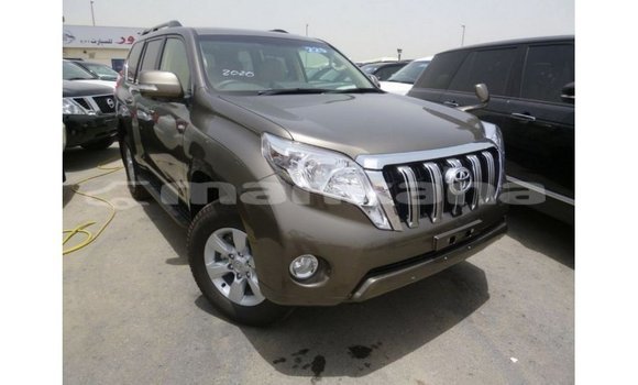 Buy Import Toyota Prado Brown Car in Import - Dubai in Abhasia Buy Import Toyota Prado Brown Car in Import - Dubai in Abhasia