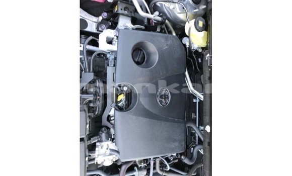 Buy Import Toyota HiAce Other Truck in Import - Dubai in Abhasia Buy Import Toyota HiAce Other Truck in Import - Dubai in Abhasia