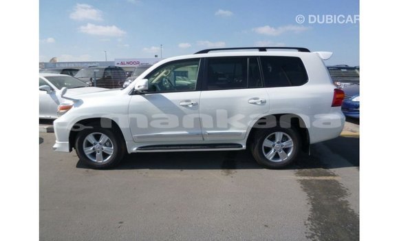 Buy Import Toyota Land Cruiser White Car in Import - Dubai in Abhasia Buy Import Toyota Land Cruiser White Car in Import - Dubai in Abhasia
