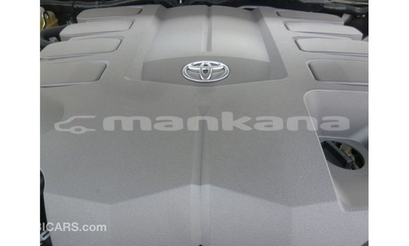 Buy Import Toyota Land Cruiser White Car in Import - Dubai in Abhasia Buy Import Toyota Land Cruiser White Car in Import - Dubai in Abhasia