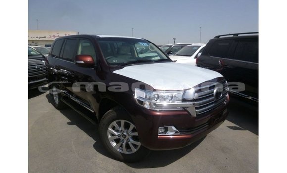 Buy Import Toyota Land Cruiser Other Car in Import - Dubai in Abhasia Buy Import Toyota Land Cruiser Other Car in Import - Dubai in Abhasia
