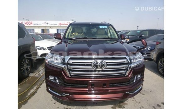 Buy Import Toyota Land Cruiser Other Car in Import - Dubai in Abhasia Buy Import Toyota Land Cruiser Other Car in Import - Dubai in Abhasia