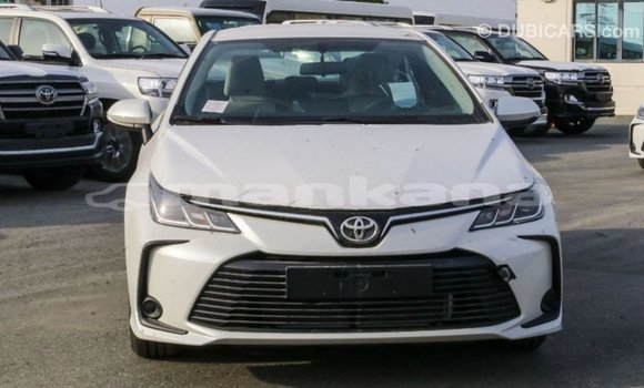 Buy Import Toyota Corolla White Car in Import - Dubai in Abhasia Buy Import Toyota Corolla White Car in Import - Dubai in Abhasia