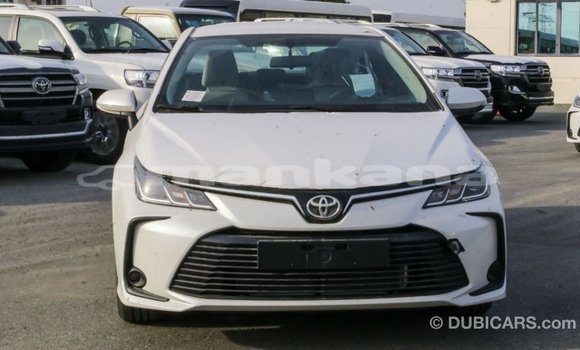 Buy Import Toyota Corolla White Car in Import - Dubai in Abhasia Buy Import Toyota Corolla White Car in Import - Dubai in Abhasia