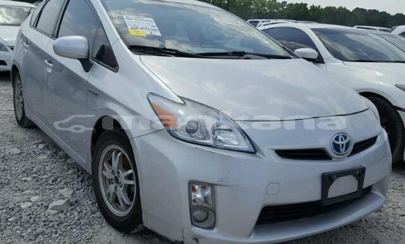 Buy Used Toyota Prius Silver Car in Tbilisi in Tbilisi