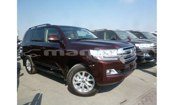 Buy Import Toyota Land Cruiser Brown Car in Import - Dubai in Abhasia Buy Import Toyota Land Cruiser Brown Car in Import - Dubai in Abhasia
