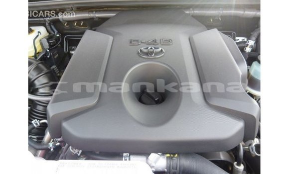 Buy Import Toyota Prado Brown Car in Import - Dubai in Abhasia Buy Import Toyota Prado Brown Car in Import - Dubai in Abhasia