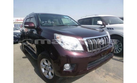 Buy Import Toyota Prado Other Car in Import - Dubai in Abhasia Buy Import Toyota Prado Other Car in Import - Dubai in Abhasia