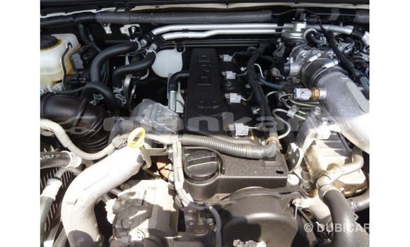 Buy Import Toyota Prado White Car in Import - Dubai in Abhasia Buy Import Toyota Prado White Car in Import - Dubai in Abhasia