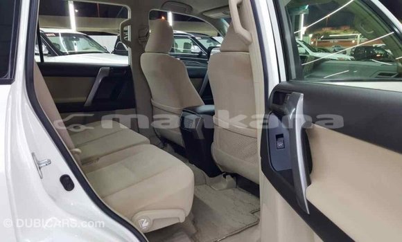 Buy Import Toyota Prado White Car in Import - Dubai in Abhasia Buy Import Toyota Prado White Car in Import - Dubai in Abhasia