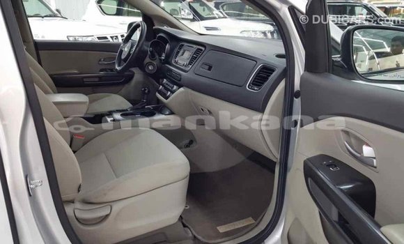 Buy Import Kia Carnival Other Car in Import - Dubai in Abhasia Buy Import Kia Carnival Other Car in Import - Dubai in Abhasia