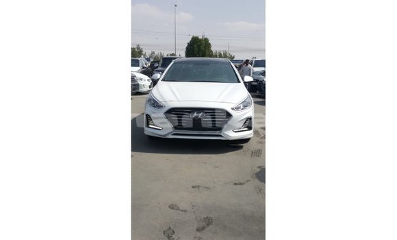 Buy Import Hyundai Sonata White Car in Import - Dubai in Abhasia Buy Import Hyundai Sonata White Car in Import - Dubai in Abhasia