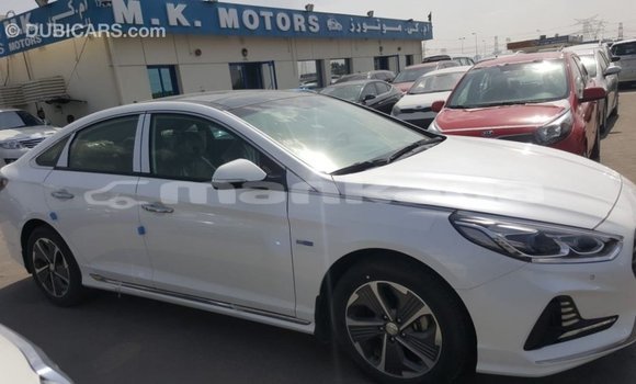 Buy Import Hyundai Sonata White Car in Import - Dubai in Abhasia Buy Import Hyundai Sonata White Car in Import - Dubai in Abhasia