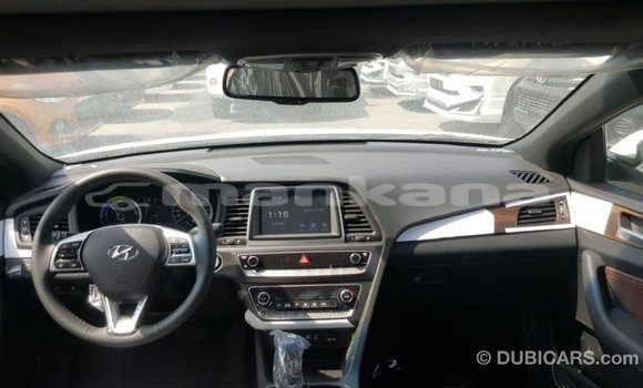 Buy Import Hyundai Sonata White Car in Import - Dubai in Abhasia Buy Import Hyundai Sonata White Car in Import - Dubai in Abhasia