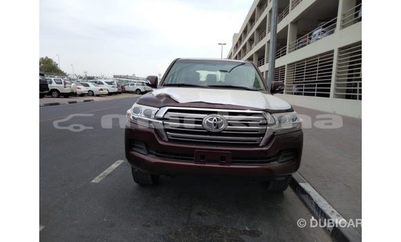 Buy Import Toyota Land Cruiser Brown Car in Import - Dubai in Abhasia Buy Import Toyota Land Cruiser Brown Car in Import - Dubai in Abhasia