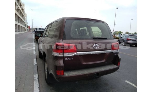 Buy Import Toyota Land Cruiser Brown Car in Import - Dubai in Abhasia Buy Import Toyota Land Cruiser Brown Car in Import - Dubai in Abhasia