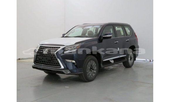 Buy Import Lexus GX Blue Car in Import - Dubai in Abhasia Buy Import Lexus GX Blue Car in Import - Dubai in Abhasia