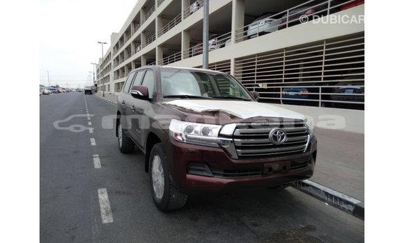 Buy Import Toyota Land Cruiser Brown Car in Import - Dubai in Abhasia Buy Import Toyota Land Cruiser Brown Car in Import - Dubai in Abhasia