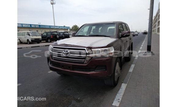 Buy Import Toyota Land Cruiser Brown Car in Import - Dubai in Abhasia Buy Import Toyota Land Cruiser Brown Car in Import - Dubai in Abhasia