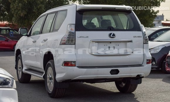 Buy Import Lexus GX White Car in Import - Dubai in Abhasia Buy Import Lexus GX White Car in Import - Dubai in Abhasia