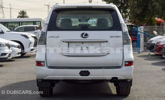 Buy Import Lexus GX White Car in Import - Dubai in Abhasia Buy Import Lexus GX White Car in Import - Dubai in Abhasia