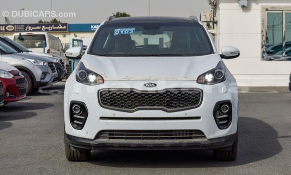 Buy Import Kia Sportage White Car in Import - Dubai in Abhasia Buy Import Kia Sportage White Car in Import - Dubai in Abhasia
