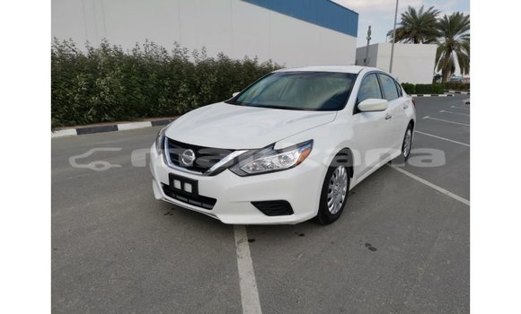 Buy Import Nissan Altima White Car in Import - Dubai in Abhasia Buy Import Nissan Altima White Car in Import - Dubai in Abhasia