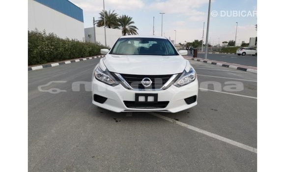 Buy Import Nissan Altima White Car in Import - Dubai in Abhasia Buy Import Nissan Altima White Car in Import - Dubai in Abhasia