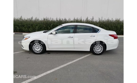 Buy Import Nissan Altima White Car in Import - Dubai in Abhasia Buy Import Nissan Altima White Car in Import - Dubai in Abhasia