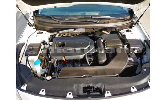 Buy Import Hyundai Sonata White Car in Import - Dubai in Abhasia Buy Import Hyundai Sonata White Car in Import - Dubai in Abhasia