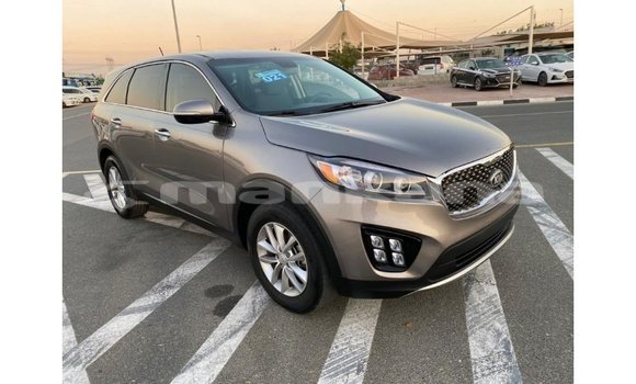 Buy Import Kia Sorento Other Car in Import - Dubai in Abhasia Buy Import Kia Sorento Other Car in Import - Dubai in Abhasia