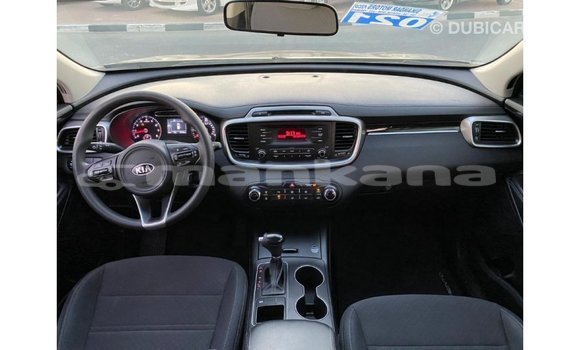 Buy Import Kia Sorento Other Car in Import - Dubai in Abhasia Buy Import Kia Sorento Other Car in Import - Dubai in Abhasia