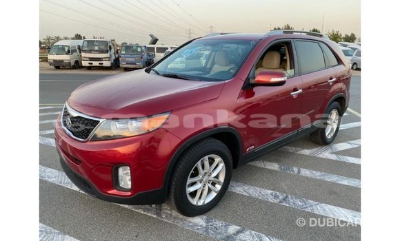 Buy Import Kia Sorento Red Car in Import - Dubai in Abhasia Buy Import Kia Sorento Red Car in Import - Dubai in Abhasia