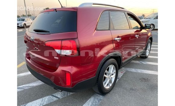 Buy Import Kia Sorento Red Car in Import - Dubai in Abhasia Buy Import Kia Sorento Red Car in Import - Dubai in Abhasia