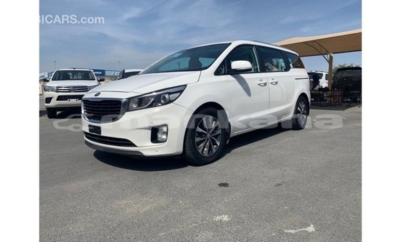 Buy Import Kia Carnival White Car in Import - Dubai in Abhasia Buy Import Kia Carnival White Car in Import - Dubai in Abhasia