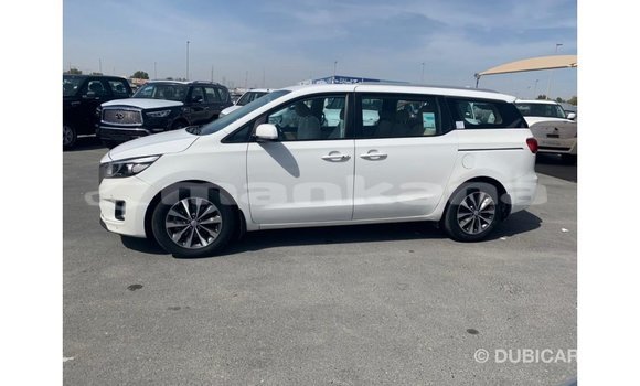 Buy Import Kia Carnival White Car in Import - Dubai in Abhasia Buy Import Kia Carnival White Car in Import - Dubai in Abhasia