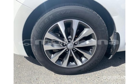 Buy Import Kia Carnival White Car in Import - Dubai in Abhasia Buy Import Kia Carnival White Car in Import - Dubai in Abhasia