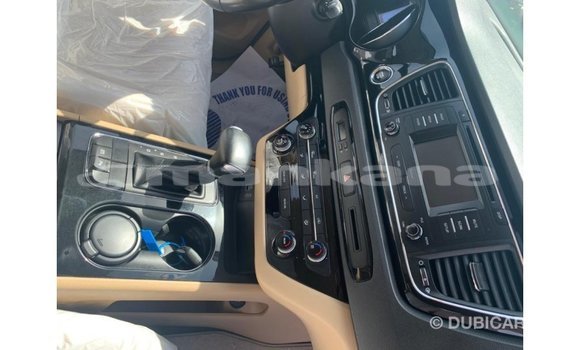 Buy Import Kia Carnival White Car in Import - Dubai in Abhasia Buy Import Kia Carnival White Car in Import - Dubai in Abhasia