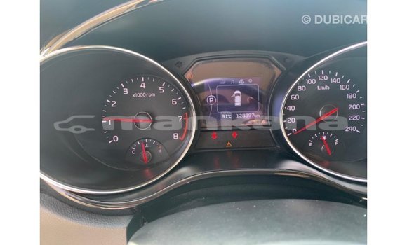 Buy Import Kia Carnival White Car in Import - Dubai in Abhasia Buy Import Kia Carnival White Car in Import - Dubai in Abhasia