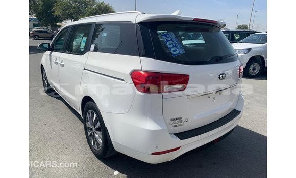 Buy Import Kia Carnival White Car in Import - Dubai in Abhasia Buy Import Kia Carnival White Car in Import - Dubai in Abhasia