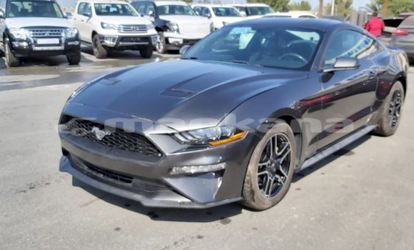 Buy Import Ford Mustang Other Car in Import - Dubai in Abhasia Buy Import Ford Mustang Other Car in Import - Dubai in Abhasia