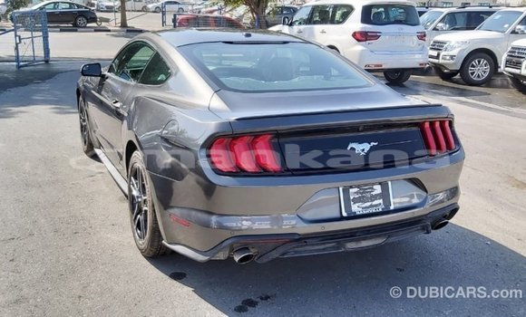 Buy Import Ford Mustang Other Car in Import - Dubai in Abhasia Buy Import Ford Mustang Other Car in Import - Dubai in Abhasia