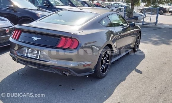 Buy Import Ford Mustang Other Car in Import - Dubai in Abhasia Buy Import Ford Mustang Other Car in Import - Dubai in Abhasia